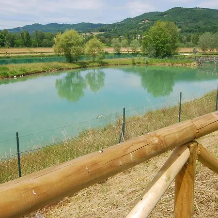 Pet Friendly In With Swimming Pool Сasa de vacaciones Montone (Umbria)